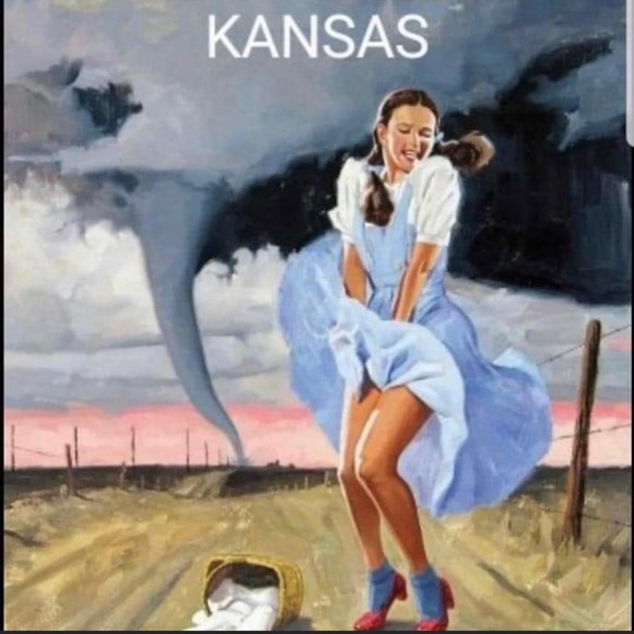 🤩Posh Ambassador! Fast Shipper 5⭐️Ratings👠🌻🌪 - Picture 7 of 16